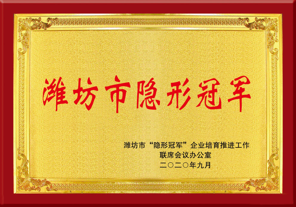 濰坊市(shì)隐形冠(guan)軍